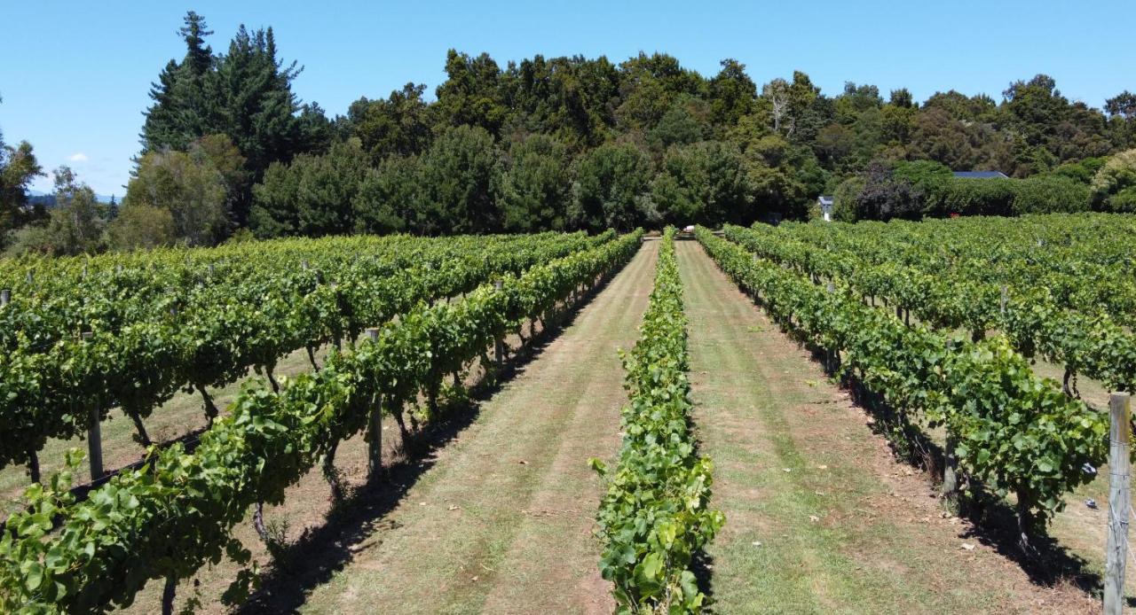 Pirita Vineyard Cottage. Upper Moutere Exteriér fotografie